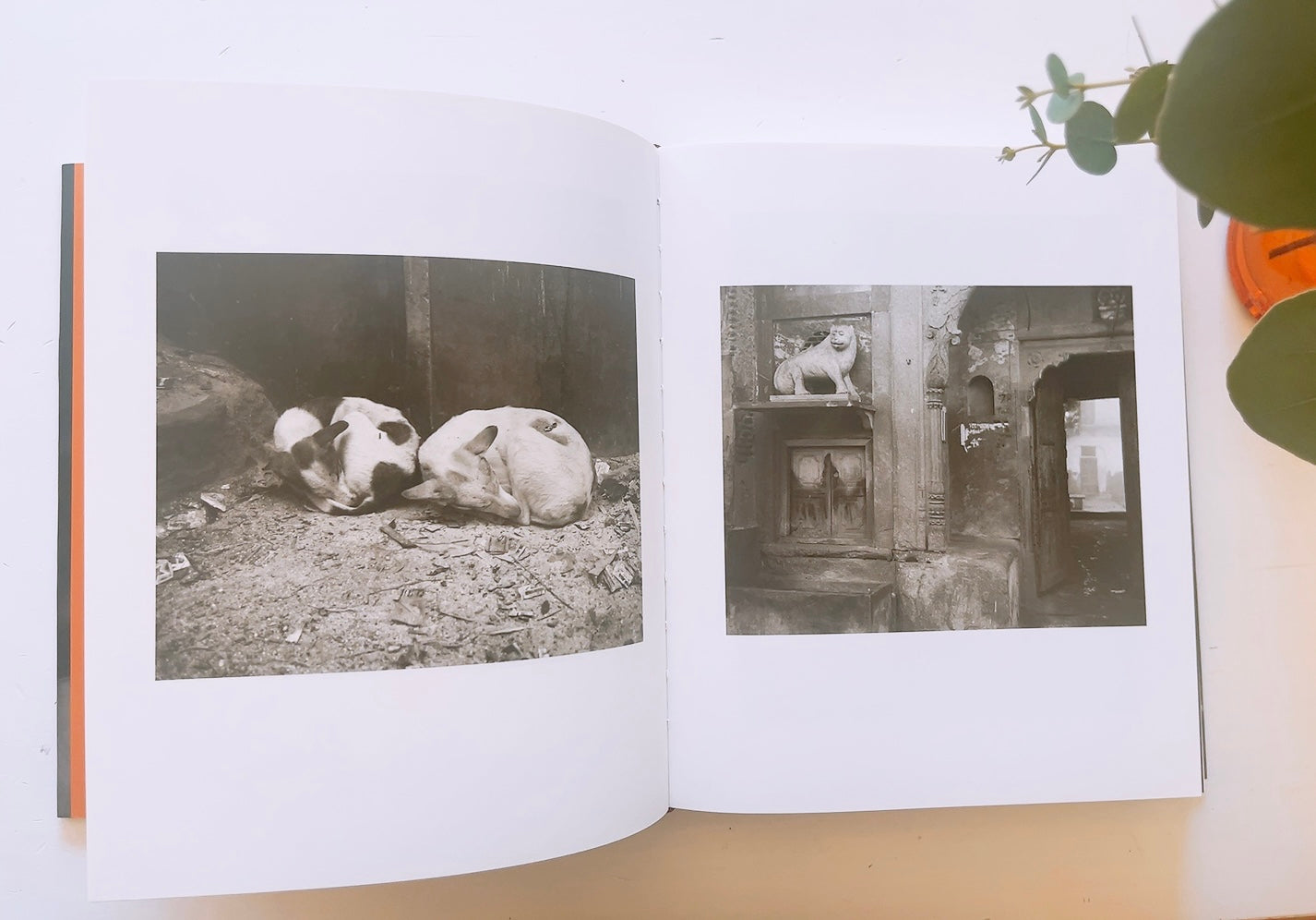 MOKSHA by FAZAL SHEIKH photo book