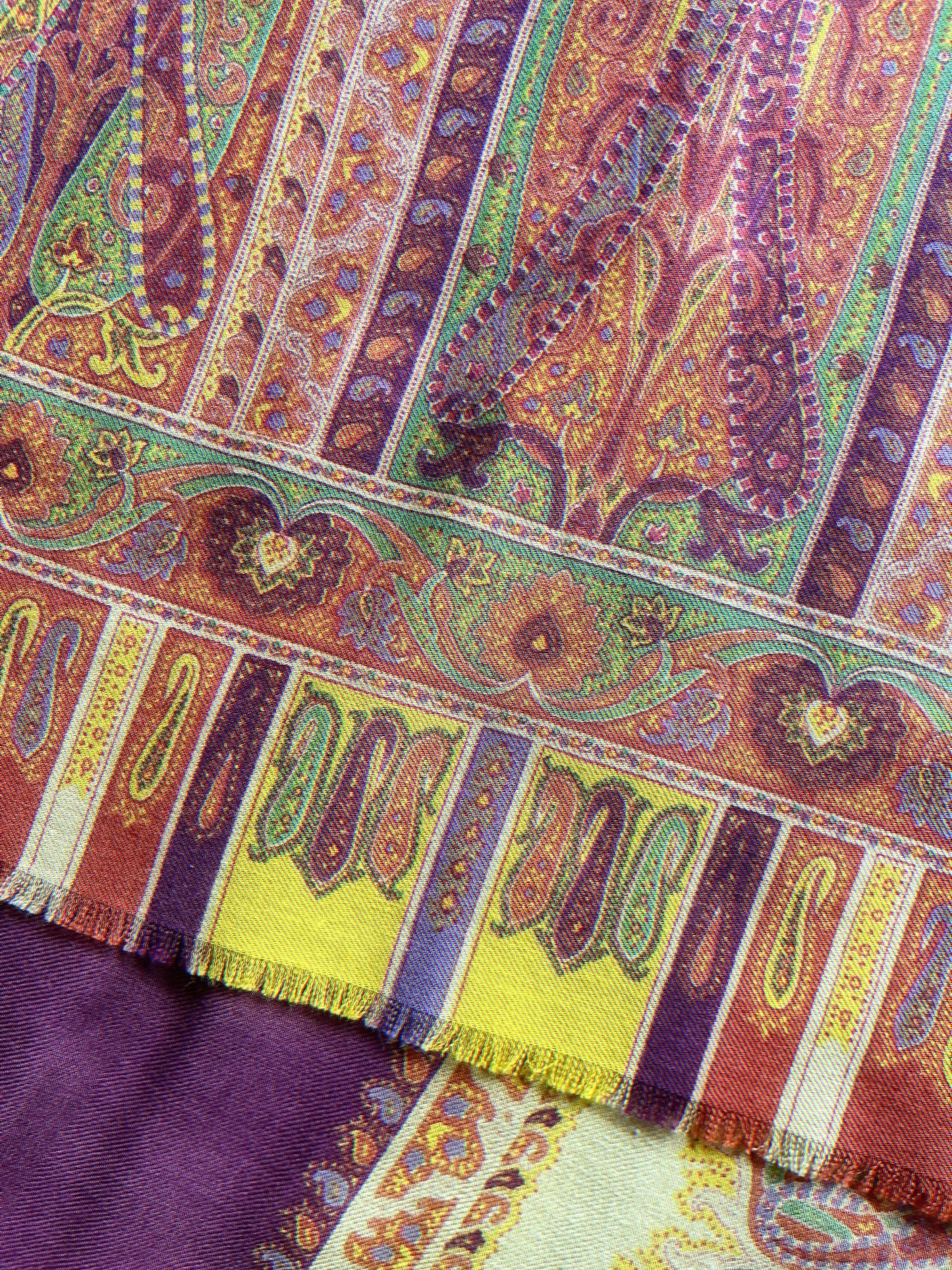 ETRO vintage long scarf
