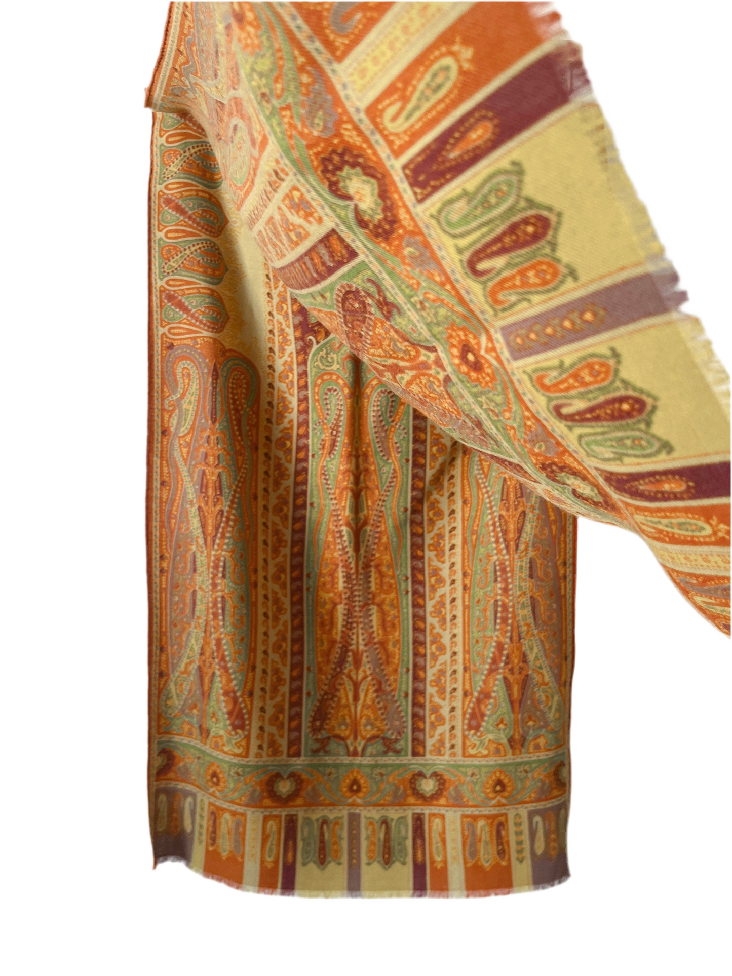 ETRO vintage long scarf