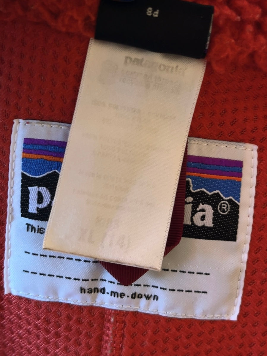 Patagonia fleece jacket