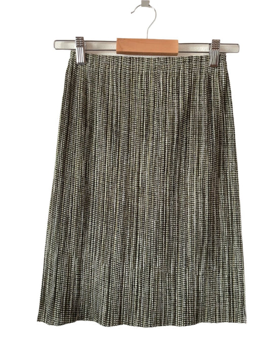 ISSEY MIYAKE - PLEATS PLEASE skirt